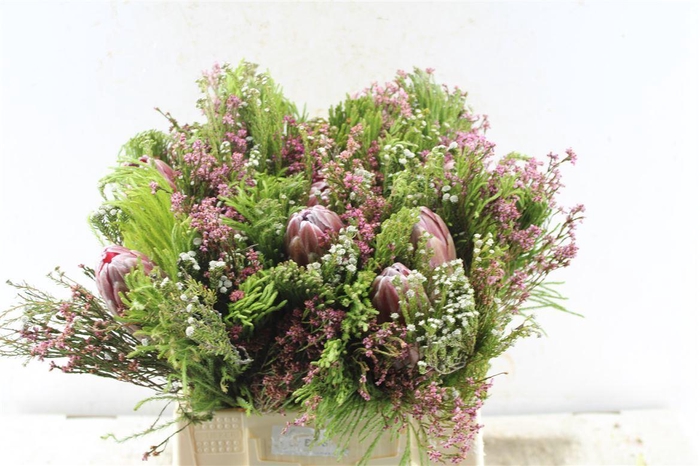 <h4>Protea Boeket</h4>