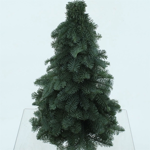 Nobilis Kerstboom 40cm Extra