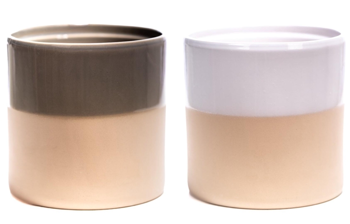 <h4>P&PURE Tess 2 ceramics 2 ass</h4>