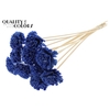 Shola Karnish Flower 6cm on stem Wax Blue