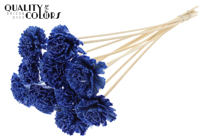 Shola Karnish Flower 6cm on stem Wax Blue