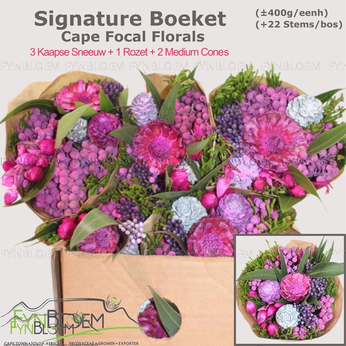 <h4>KAAPS GROE GEM IN BS</h4>