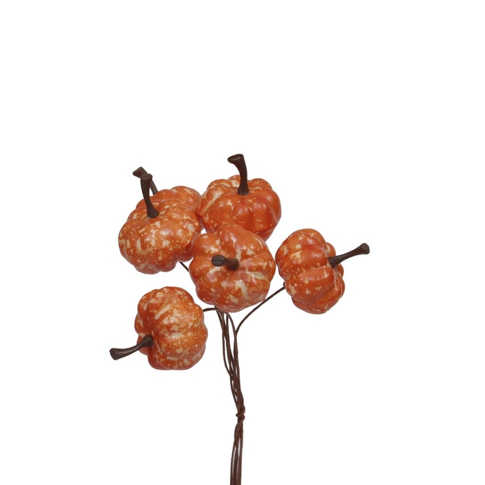 <h4>Herfst Deco pompoen/drd 20mm x36</h4>