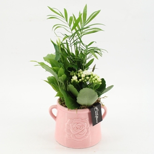 ESCR-2603W Essentials