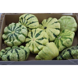 CUC PEP PATISSON MIX