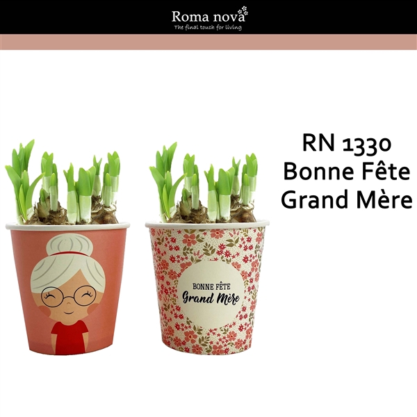 <h4>1330 - Bonne Fête Grand Mère P12 (Tete a Tete)</h4>