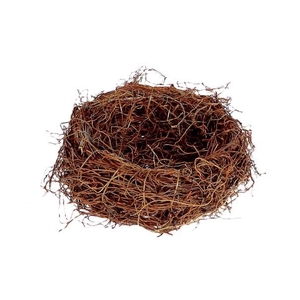 Basket Fern Root H10D25