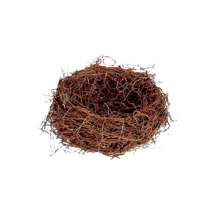 <h4>Basket Fern Root H10D25</h4>