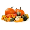Sier Cuc P Halloween Extra Super