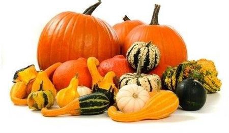 Sier Cuc P Halloween Extra Super