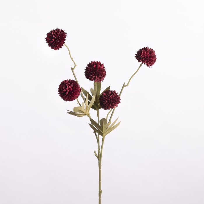 <h4>AF Gompy spray x5 L51cm d.red</h4>