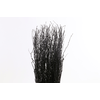 Berk Klb Black