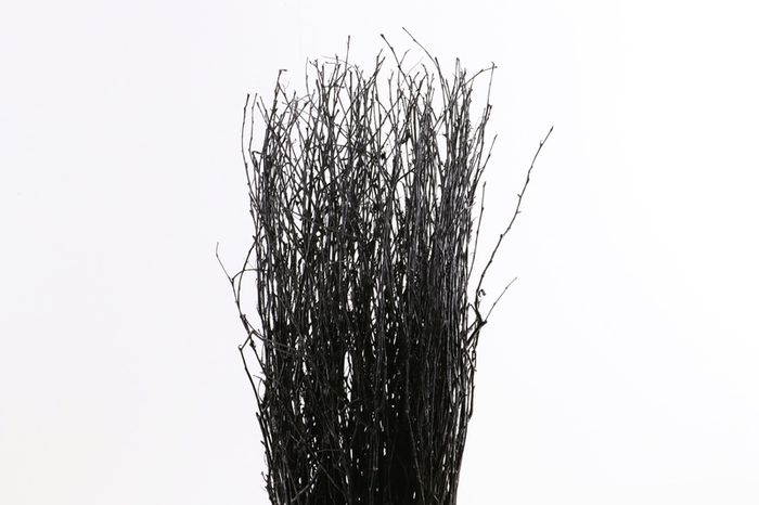Berk Klb Black