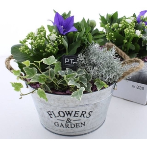 ARR TUINPLANTEN