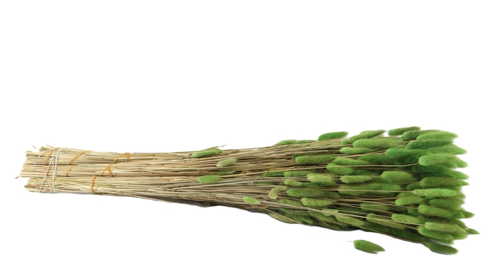 <h4>DROOGBL BEWERKT H%</h4>