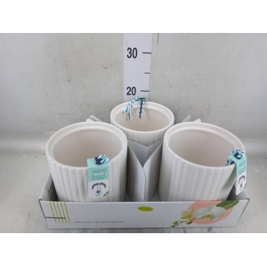 Pot   ...Keramische H%