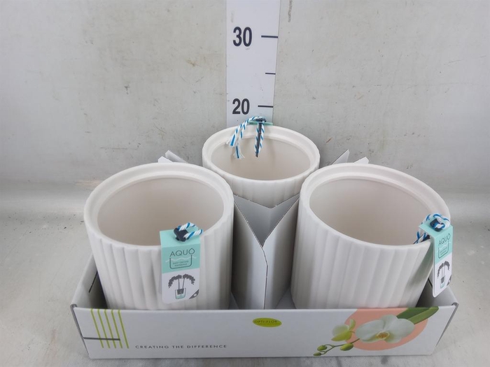 <h4>Pot   ...Keramische H%</h4>