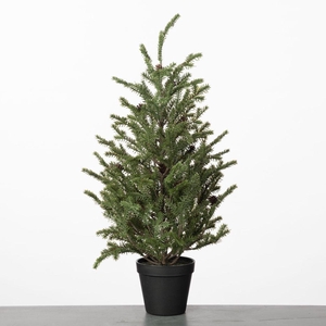 AF Spruce Fir Tree pot H63cm G
