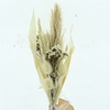Dried Super Bouquet Bleached White