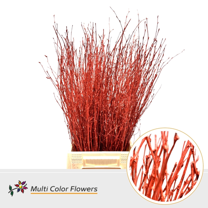 <h4>Berk Rood metallic</h4>