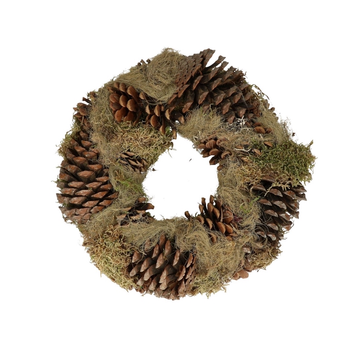 <h4>Sale Christmas d25cm Pine cone moss</h4>