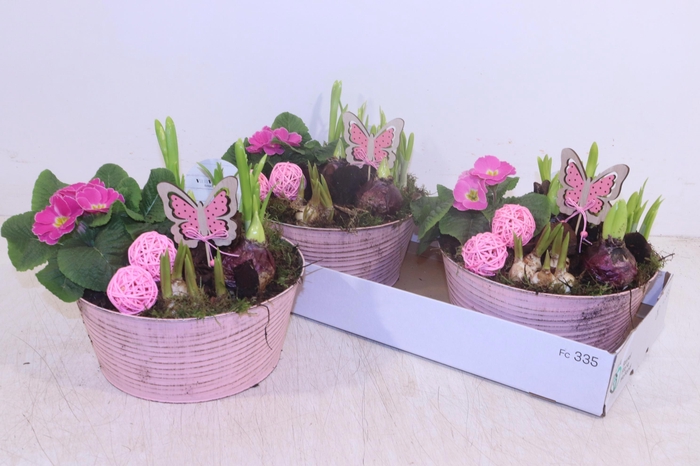 <h4>ARR TUINPLANTEN</h4>