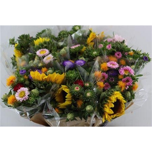BQT SUMMERFLOWERS COLOR