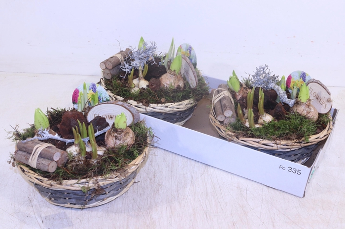 <h4>ARR BOL KNOLGEWAS</h4>