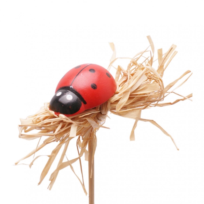 <h4>Sticks 50cm Ladybird 4cm</h4>