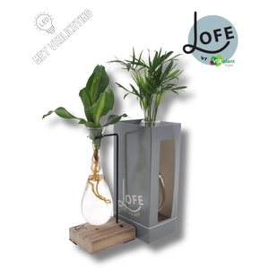 LOFE |Intenz mix in Hang glas hout+VER-levertijd: 24 uur