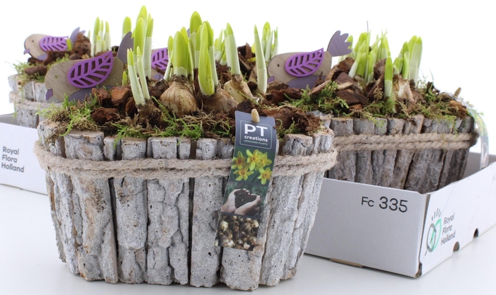 <h4>ARR N TETE A TETE</h4>