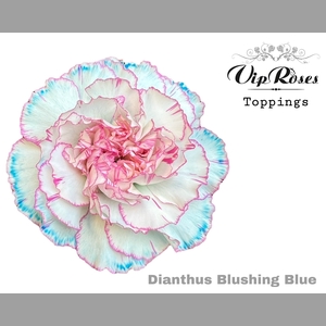 DI ST BLUSHING BLUE