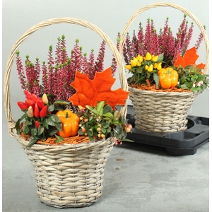 ARR GARDEN BASKET ORANGE X2