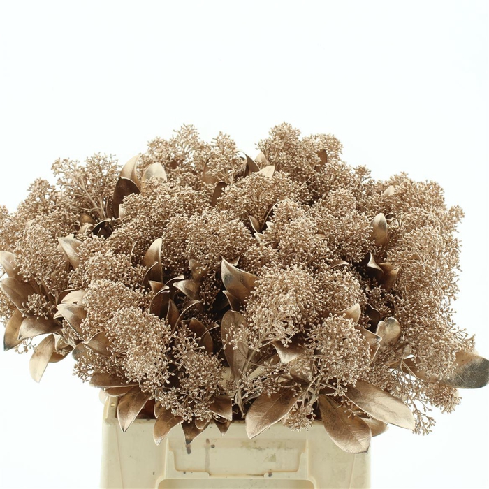 Skim Klb Metallic Pink P Bos