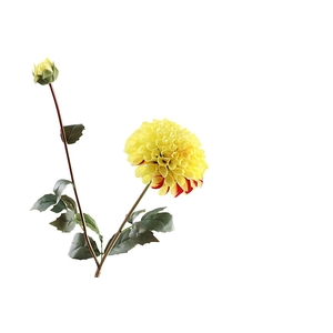 Dahlia Spray Yellow FL440078YEL