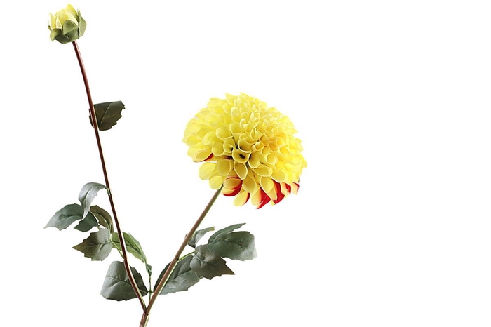 <h4>Dahlia Spray Yellow FL440078YEL</h4>