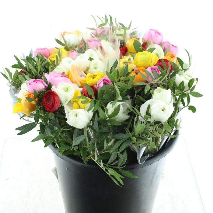 <h4>Ran Bouquet (7 Ran, 2 Pistache)</h4>