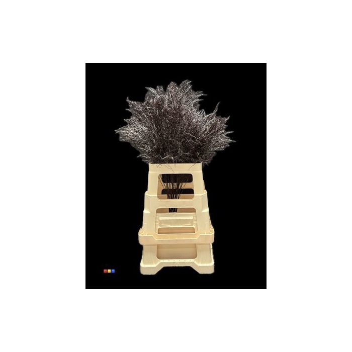 <h4>Treefern Aubergine</h4>