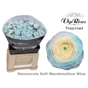 RAN SOFT MARSHMALLOW BLUE x30