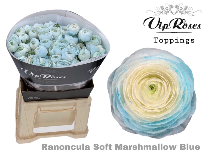 <h4>RAN SOFT MARSHMALLOW BLUE x30</h4>