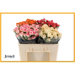 R TR GEM IN FUST Tros Water