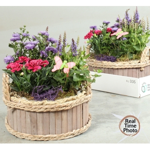 ARR TUINPLANTEN