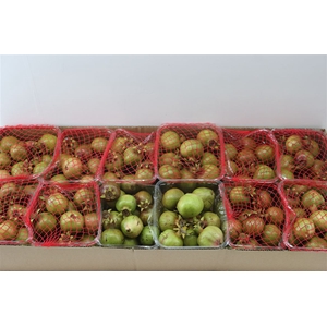 Sier Granaatappel Green X15 P Box