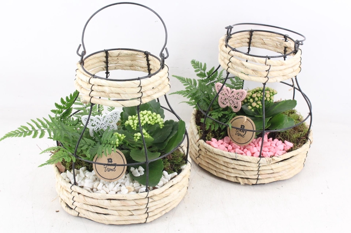 <h4>arr2 PL - Mand metaal windlicht - roze/wit</h4>