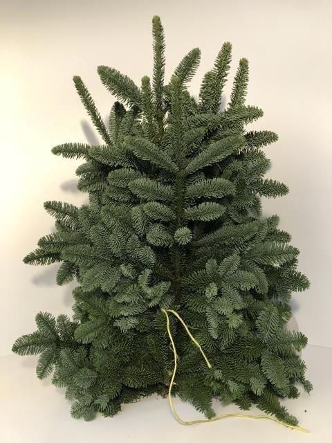 <h4>ABIES NOB BLAUW KILO</h4>