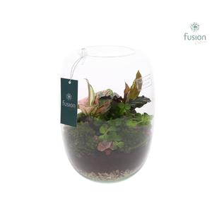 Green Bottle Isabella Large met arrangement