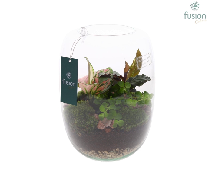 <h4>Green Bottle Isabella Large met arrangement</h4>