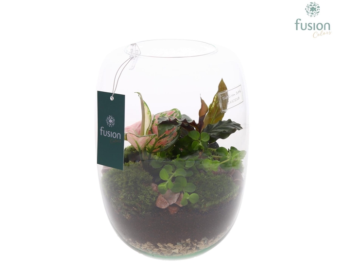 <h4>Green Bottle Isabella Large met arrangement</h4>