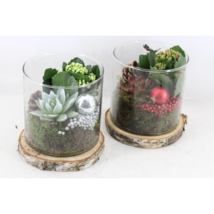 arr2 MB - Glas cilin. op schijf - rood/zilver