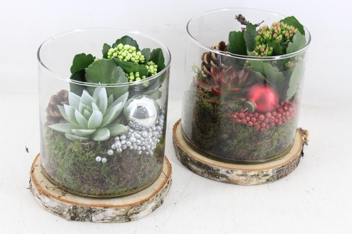 <h4>arr2 MB - Glas cilin. op schijf - rood/zilver</h4>